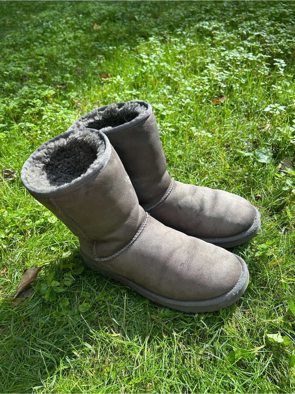 UGG Classic Short Women's Boots - Grey